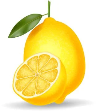 Fresh lemon isolated on white background Stock Illustration