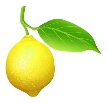Fresh lemon with leaf Stock Illustration