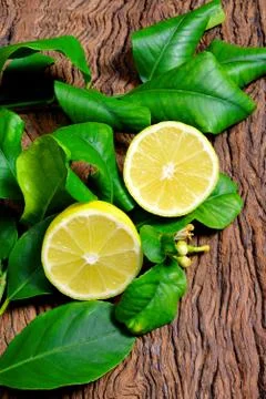 Fresh lemon Stock-Fotos