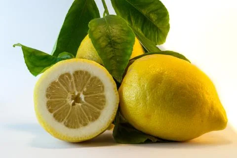 Fresh lemon Stock Photos