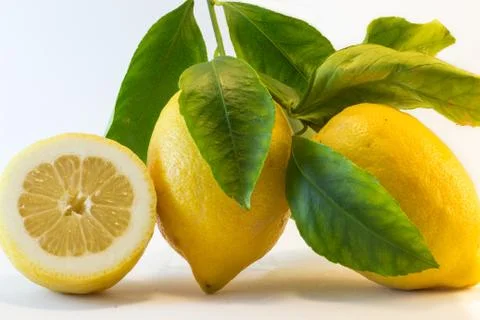 Fresh lemon Stock Photos