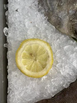 Fresh lemon slice rests on crushed ice. Stock Photos