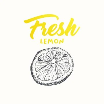 Fresh lemon vector banner design Stock Illustration