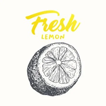Fresh lemon vector banner design イラスト素材