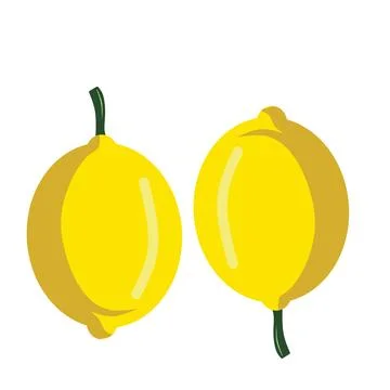 Fresh lemon vector illustration Stock Illustration