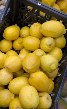 Fresh Lemons in a Black Plastic Crate at a Market on a Sunny Day Stock Photos