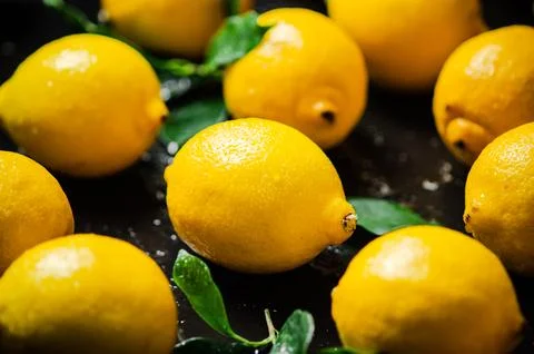 Fresh lemons. On black table. Stock Photos