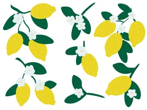 Fresh lemons hand drawn set Stock Illustration