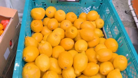 Fresh lemons inside the blue box in Osaka Japan Stock Footage 124937560
