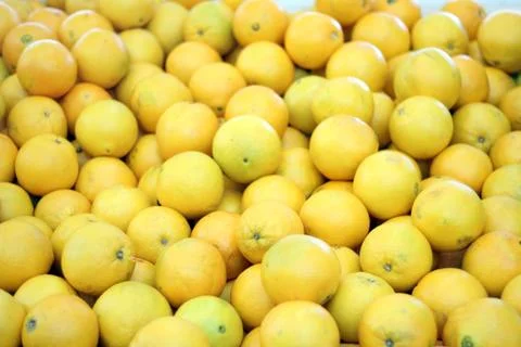 Fresh Lemons Stock Photos