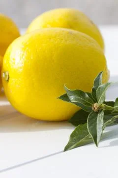 Fresh lemons Stock Photos