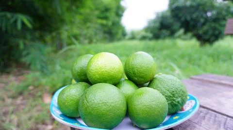 Fresh lemons on a plate placed on a table in the middle of the garden Stock Photos