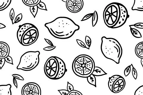 Fresh lemons print. Hand drawn line doodle lemon illustration. Minimalism lemon Stock-Illustration