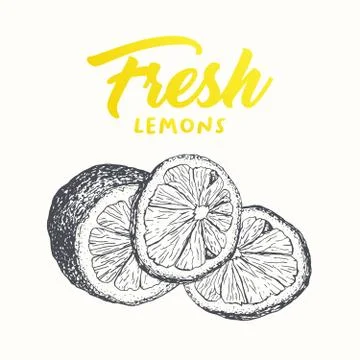 Fresh lemons vector banner design Stock Illustration
