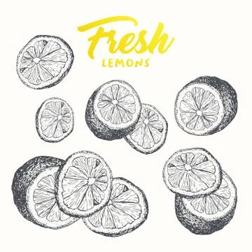 Fresh lemons vector banner design Stock Illustration