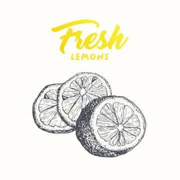 Fresh lemons vector banner design Stock Illustration
