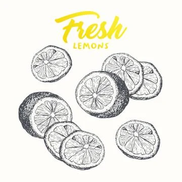 Fresh lemons vector banner design Stock Illustration