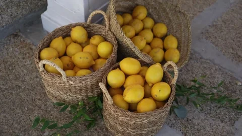 Fresh lemons in woven baskets on a stone patio floor Stock Footage 346093610
