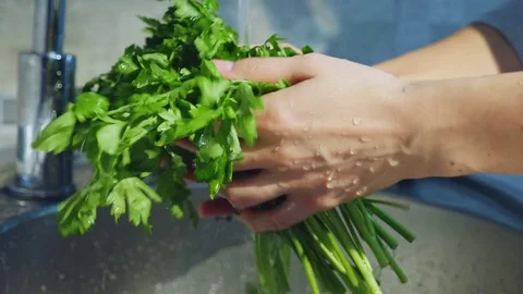 Fresh lettuce being washed making water spray Stock Footage 82256894