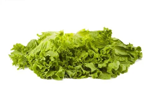 Fresh Lettuce Head Stock Photos