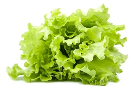 Fresh lettuce isolated Stock Photos