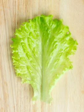 Fresh lettuce leaf Stock Photos