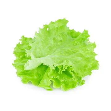 Fresh lettuce leaf Stock Photos
