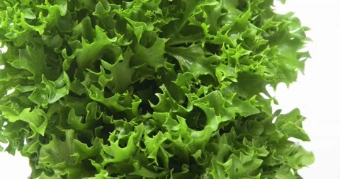 Fresh lettuce leaves	 Stock Footage 132851829