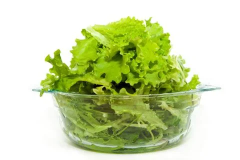 Fresh  lettuce Stock Photos