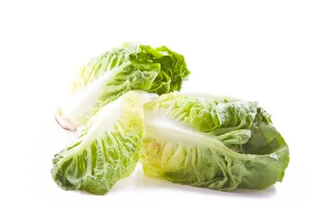 Fresh lettuce Stock Photos