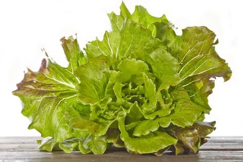 Fresh lettuce Foto stock