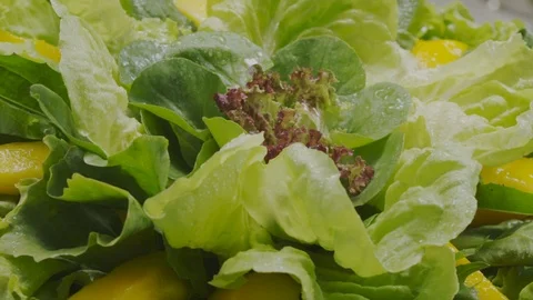 Fresh lettuce salad Stock Footage 98298246