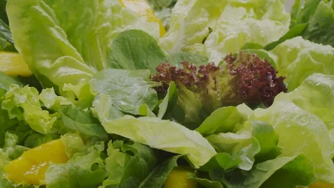 Fresh lettuce salad Stock Footage 98298425