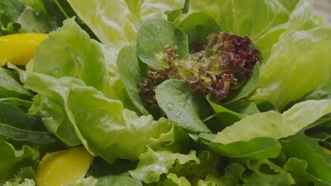 Fresh lettuce salad Stock Footage 98298640