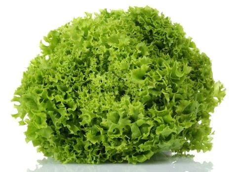Fresh lettuce on white background Stock Photos