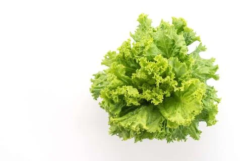 Fresh Lettuce on white background Stock Photos