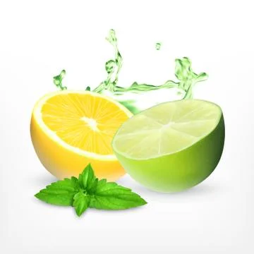 Fresh lime and lemon Stock Illustration