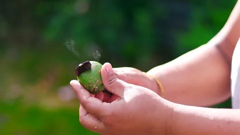 Fresh lime being sprayed with water while held in hand outdoors Видео 339760746