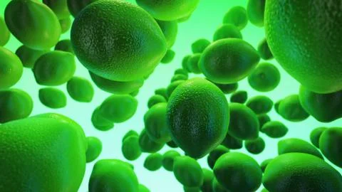 Fresh lime on green background Stock Illustration