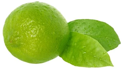 Fresh lime green with leaf Stock Photos