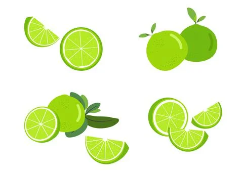 Fresh lime herb vector isolated on white background  ep04 Stock Illustration