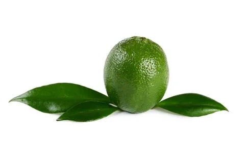 The fresh lime isolated on a white background Stock Photos