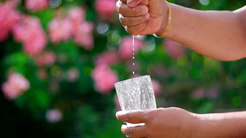 Fresh lime juice dripping into a clear glass in natural sunlight Stock Footage 339760566