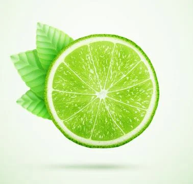 Fresh lime with leaves Stock Illustration