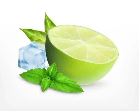 Fresh lime with leaves of mint Stock Illustration