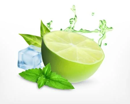 Fresh lime with leaves of mint Stock Illustration
