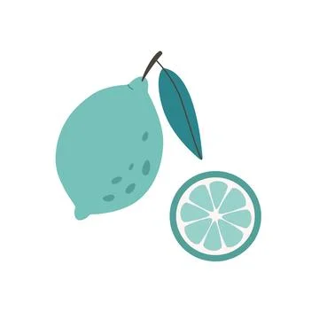 Fresh lime with lime slice. Citrus fruit. Healthy and organic food. Illustrazione stock