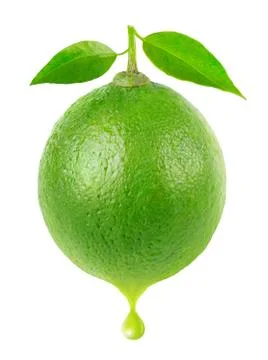 Fresh lime Stock Photos