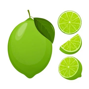 Fresh lime set, with various view of whole lime fruit, halves and slices. 스톡 일러스트