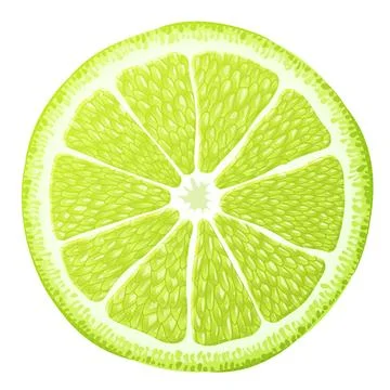 Fresh lime slice close up Stock Illustration